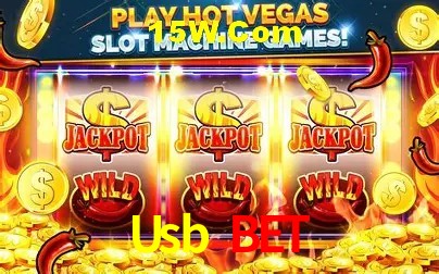 Experiência VIP Usb Bet